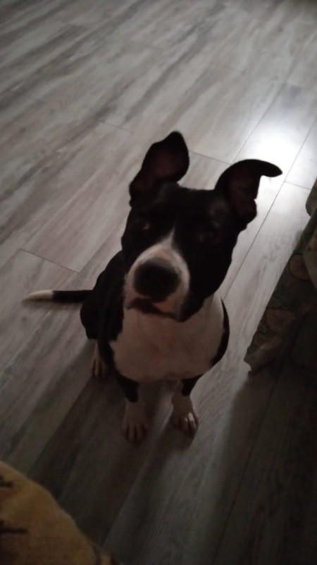 C9BFBB19-9958-4B75-8DA9-12A70361E85C