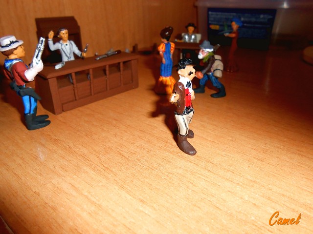 DSCN6152