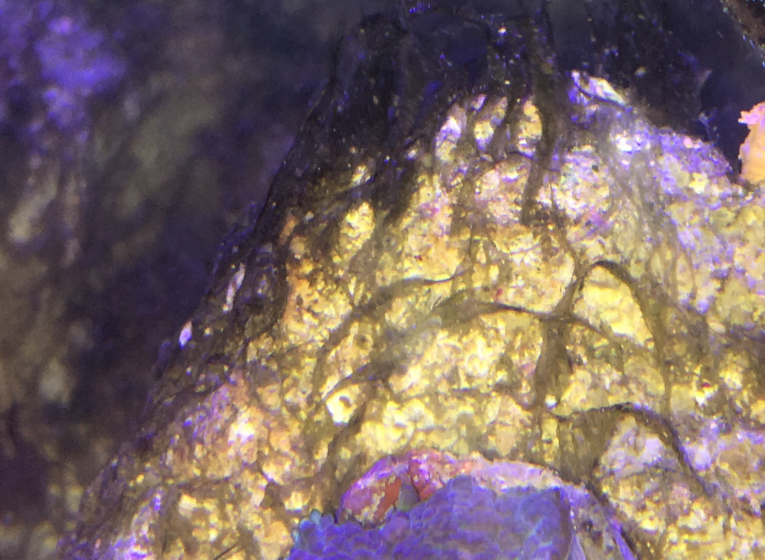 6904FF67-49BE-4320-AD38-72B2E0515BBD