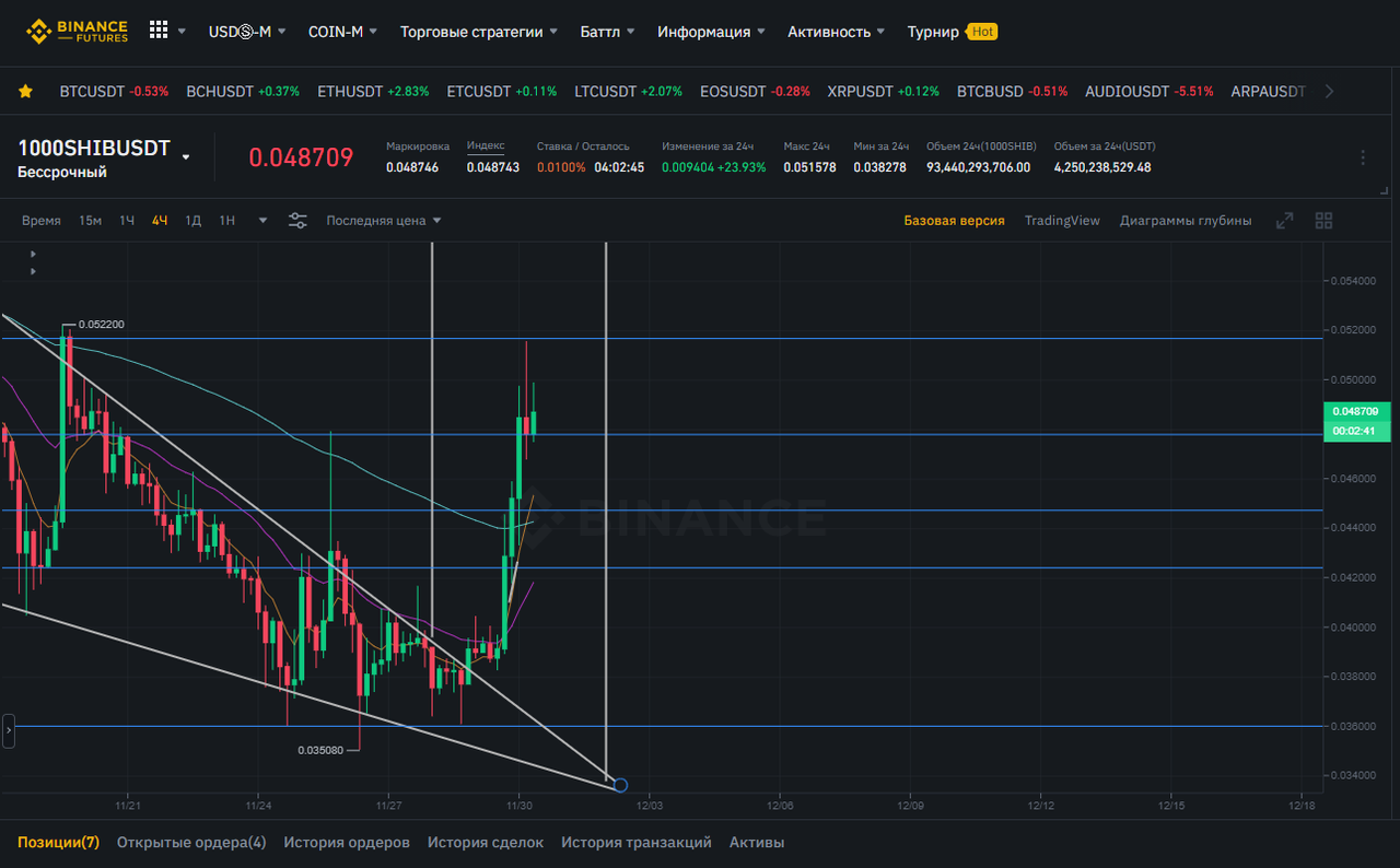 шиба на прогулке