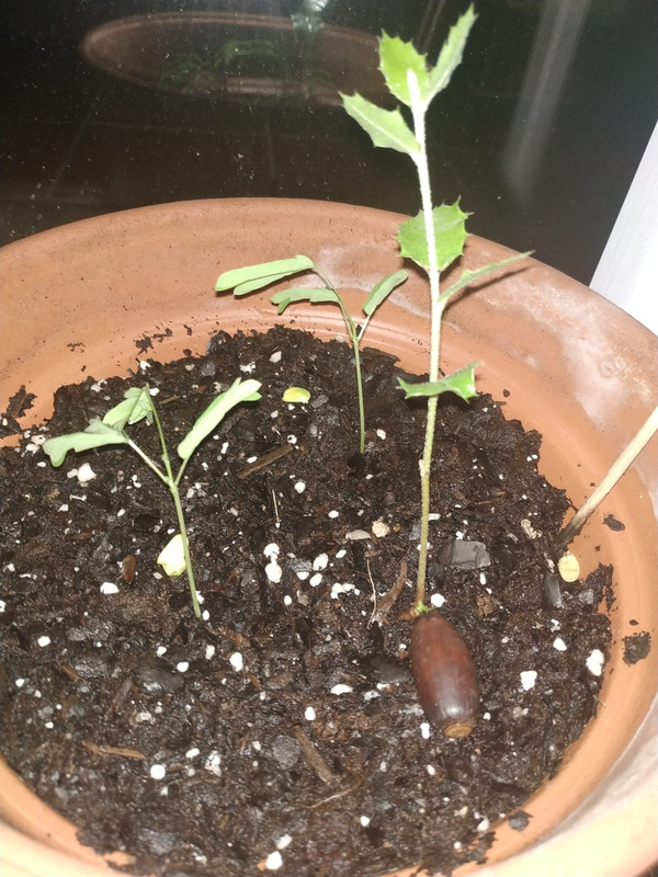 WhatsApp Image 2020-05-27 at 13.33.04 (2)