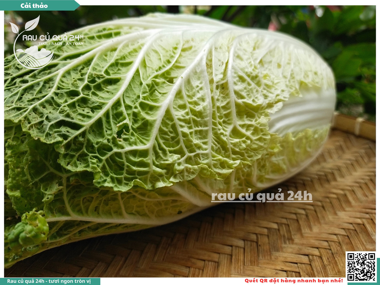 Cải Thảo 9