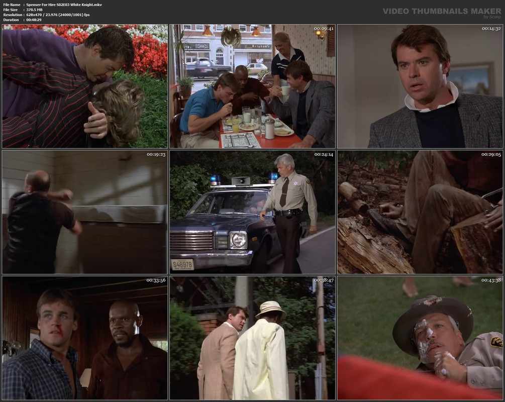 Spenser For Hire S02E03 White Knight.mkv