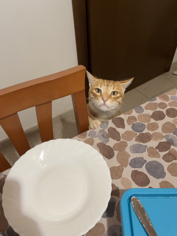 12F3CBF7-14E3-4708-8E0B-3EB17AEFC5DB