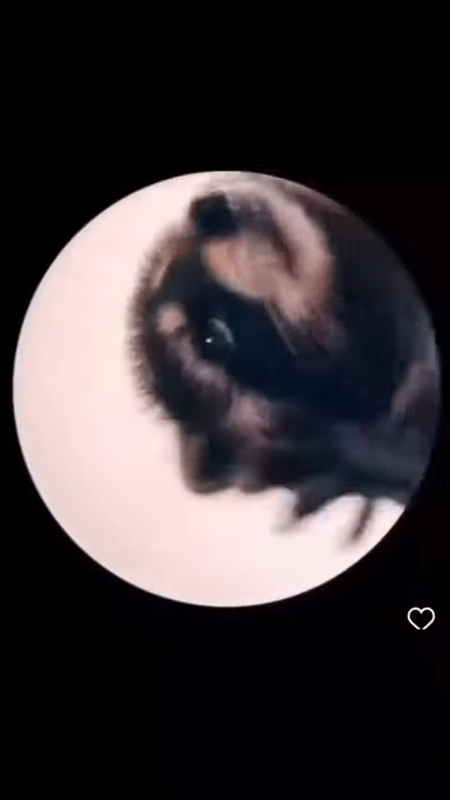 videoframe_2706