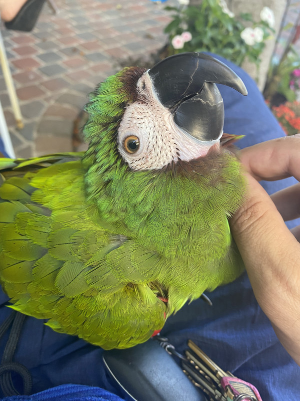 5F45AB53-F236-4BC4-9176-F398B0ED0147