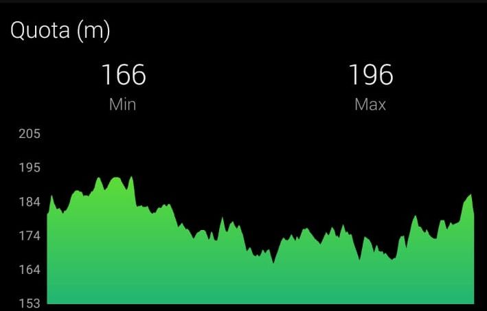 quota RunForLife 2022 Monza