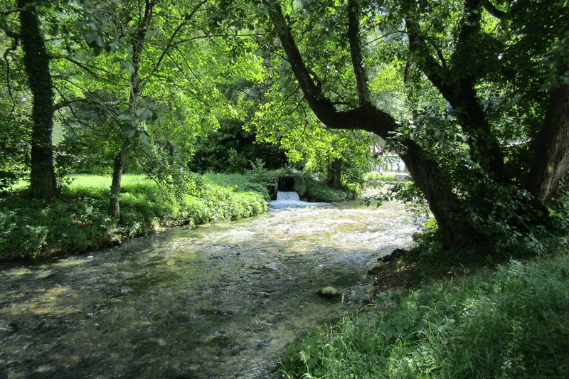 Slika