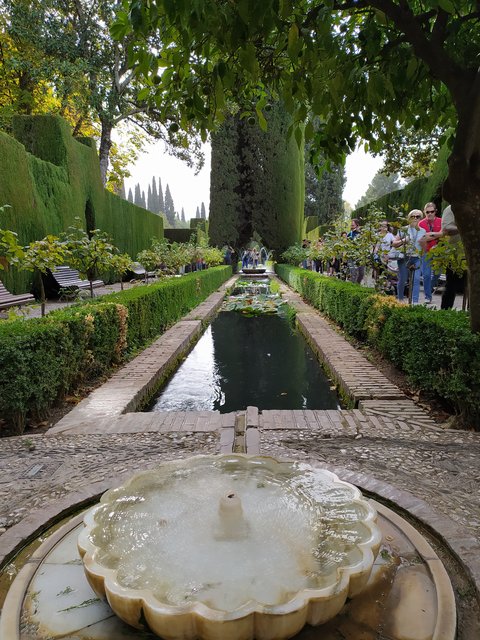 Las dos y una noche en Granada - Blogs of Spain - 26 Octubre. Día 3. Espectacular Alhambra. (20)
