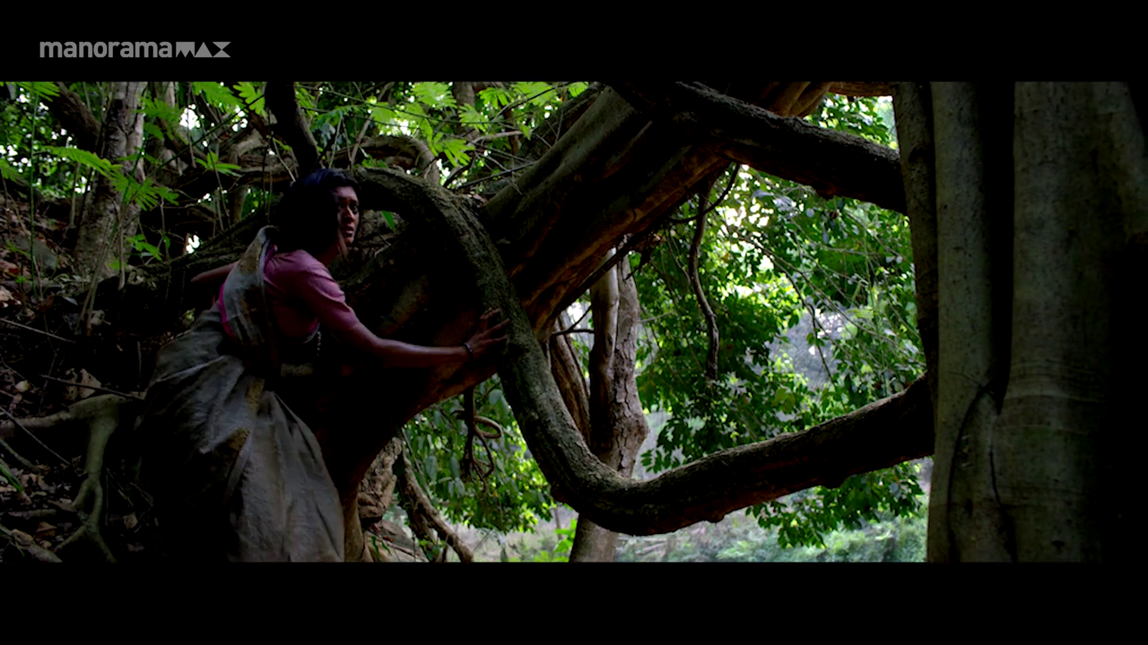 vlcsnap 2025 10 31 19h26m51s692