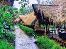 Rekomendasi Tempat Makan Enak di BSD