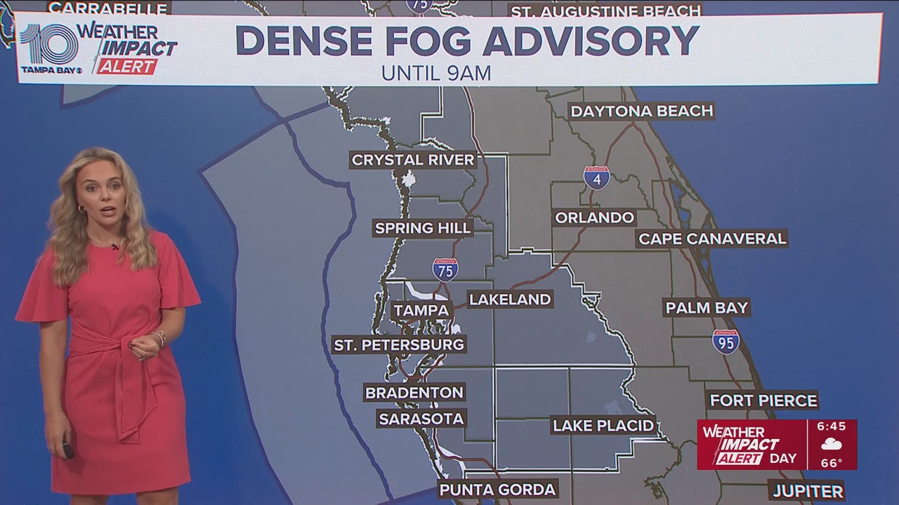 10 Tampa Bay News This Morning at 600 a m 20251124 11001200 ts snapshot 46 52 874