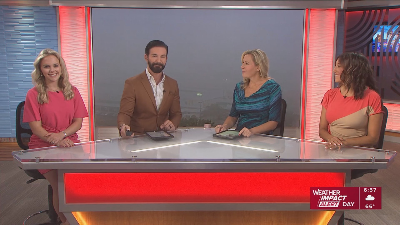 10 Tampa Bay News This Morning at 600 a m 20251124 11001200 ts snapshot 58 21 002