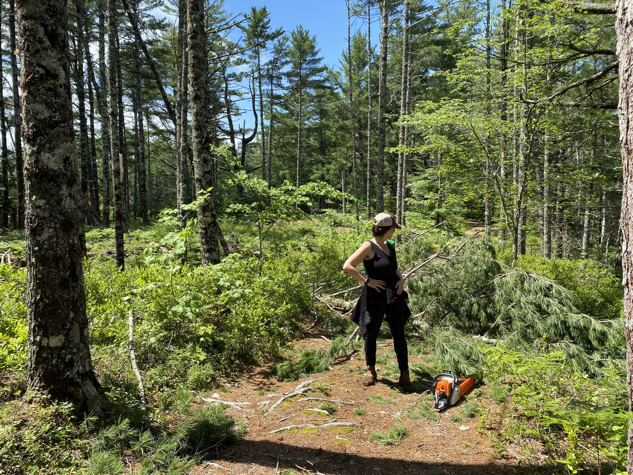 Chainsaws for Chicks at Birchdale