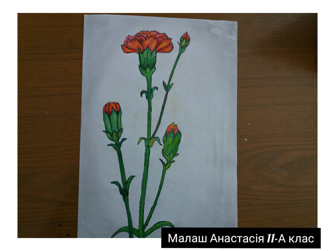 зображення_viber_2020-05-07_16-09-31