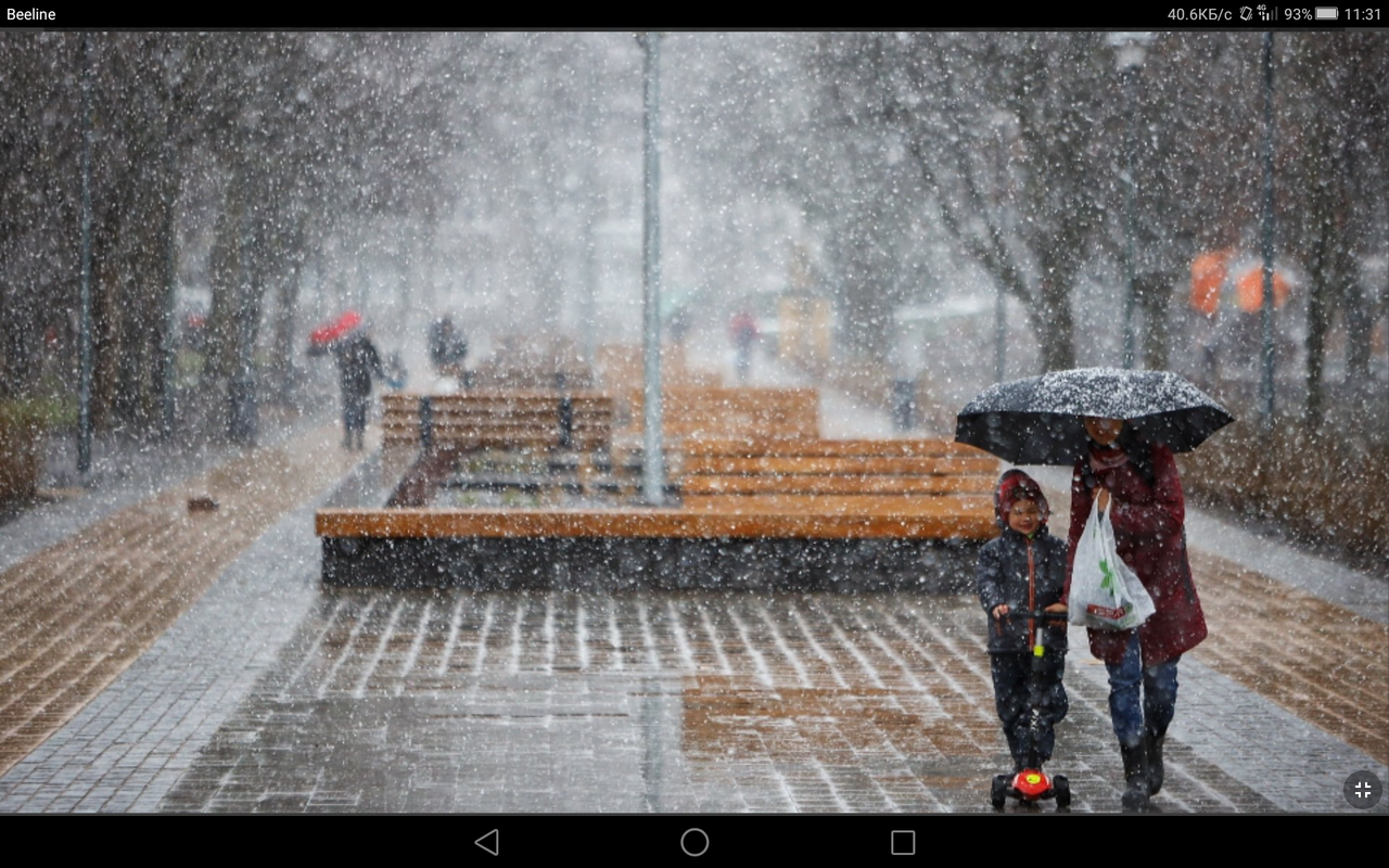 Screenshot_2021-11-29-11-31-46