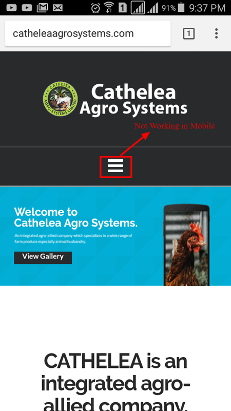 drop-down-issue