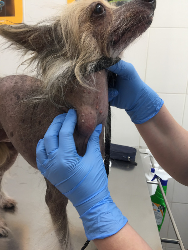 E6FE3B98-6147-4475-BC64-CA627ED35F12