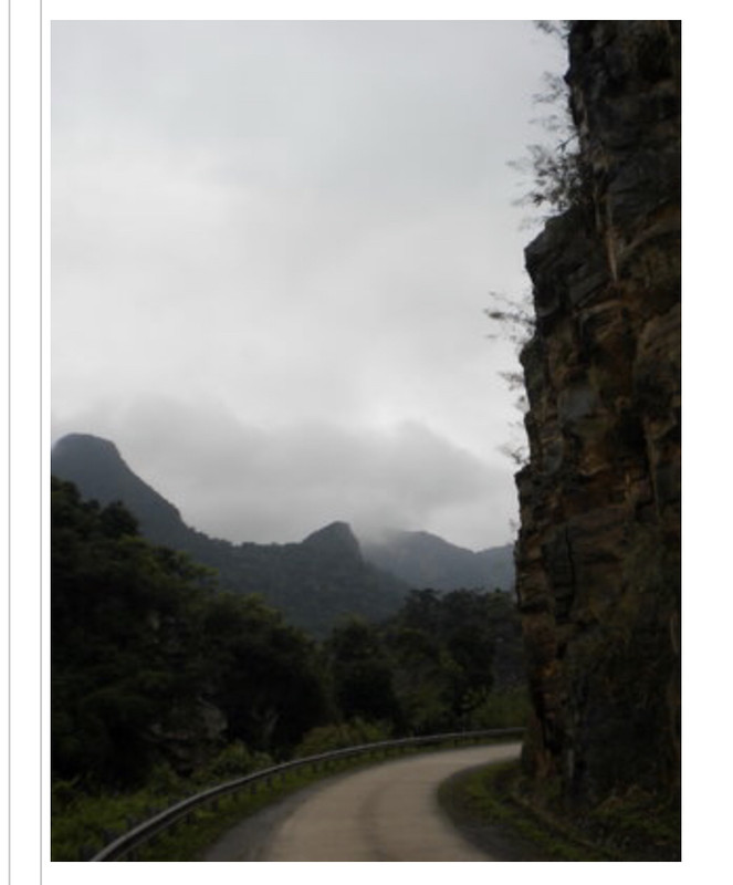 7AC03F2F-15D8-456B-BEBD-A2DB72FD6E7C