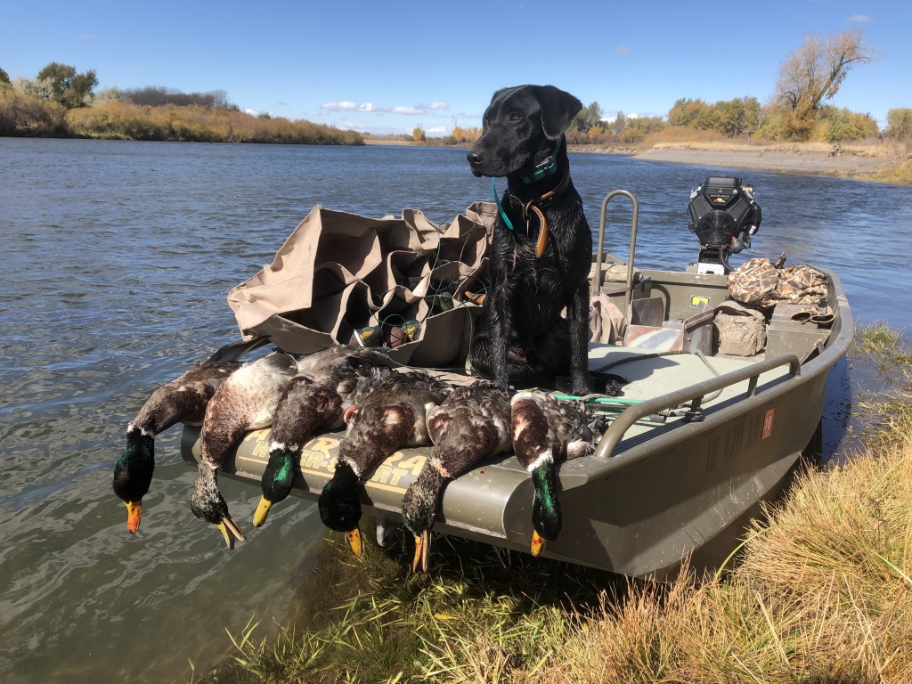 Duck hunting boats - 24hourcampfire