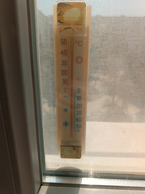 IMG_20240708_143239_892