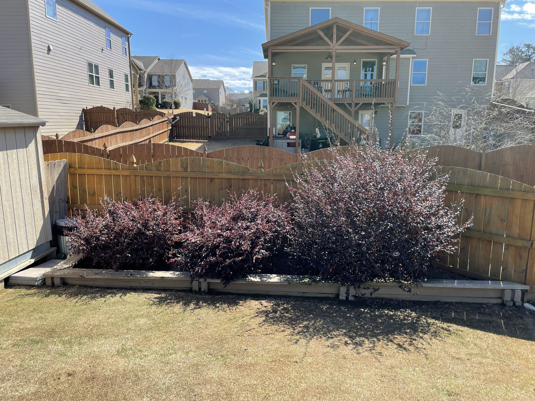 6BFBB0B1-337E-494D-ADCE-0C87FFFB1282