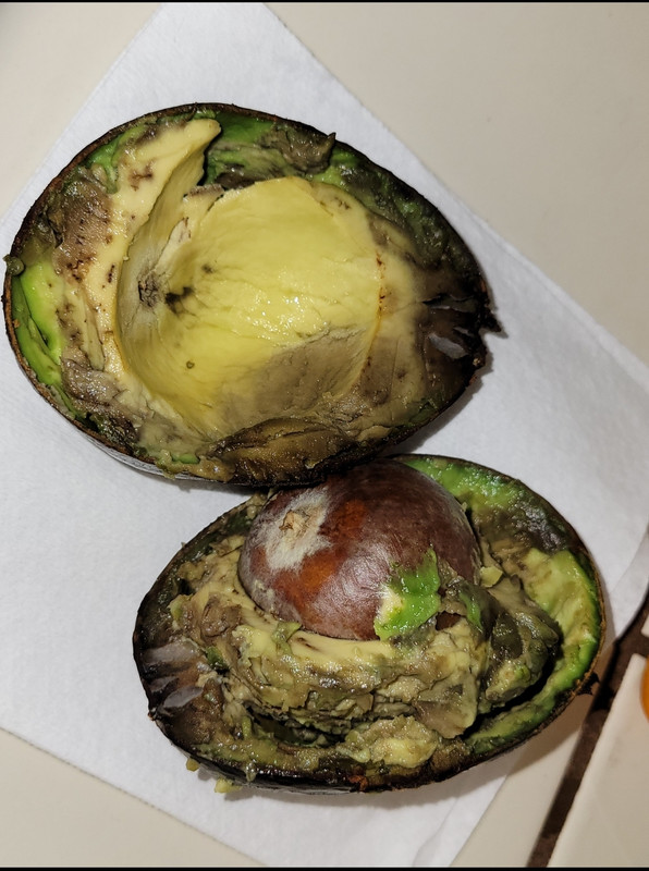 Screenshot_20220216-175345_Gallery