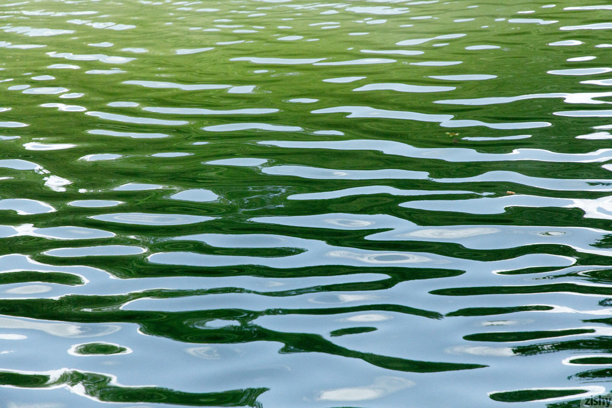 full_012_0278081938082341