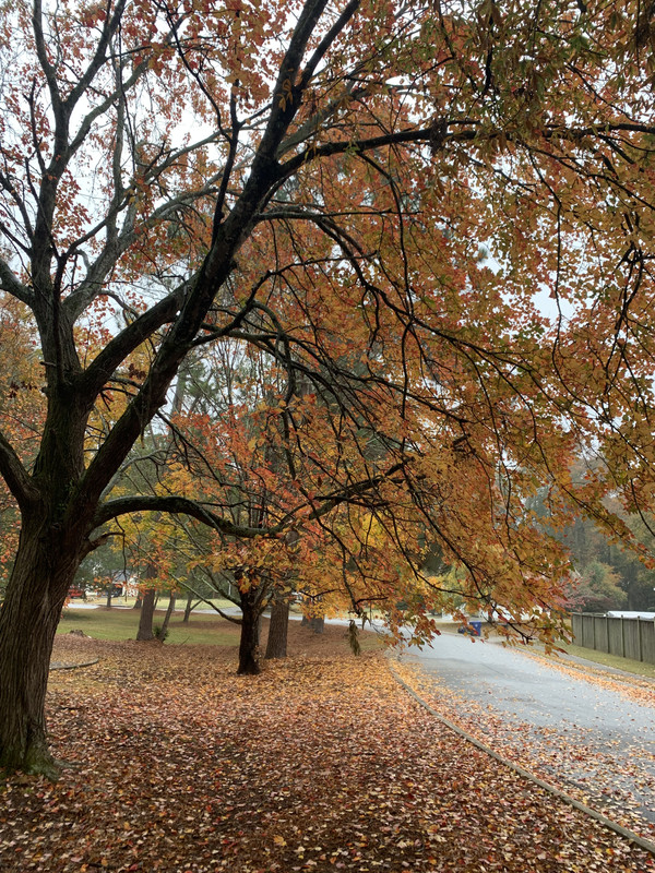 CE901BD0-5DDA-415B-9B69-5821A3F8CF8A