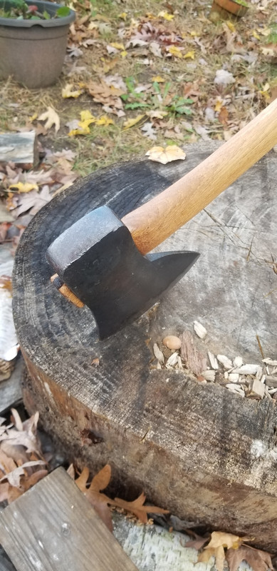 20181101-140345.jpg