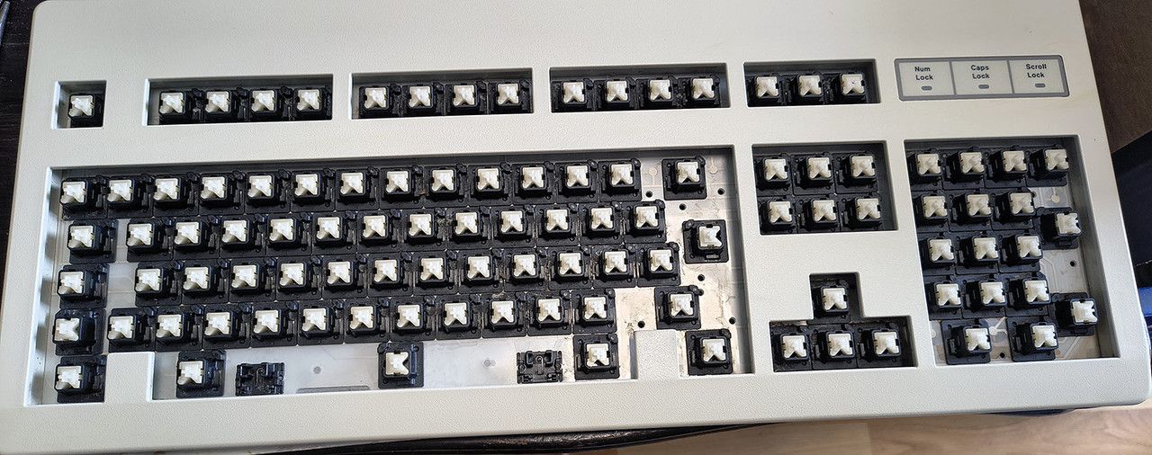cherry04