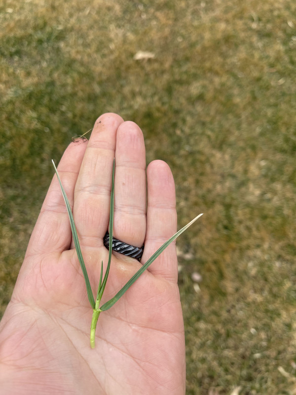 10766432-A1A1-4B26-928E-B452B65D7DA7