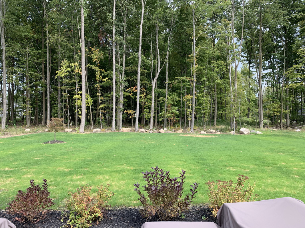 x6k15BBkSQG4PIEMjqoEiw