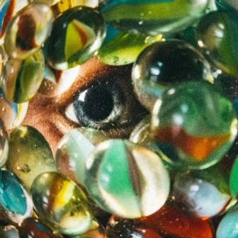 [Slika: Eine-Sega-folder.jpg]