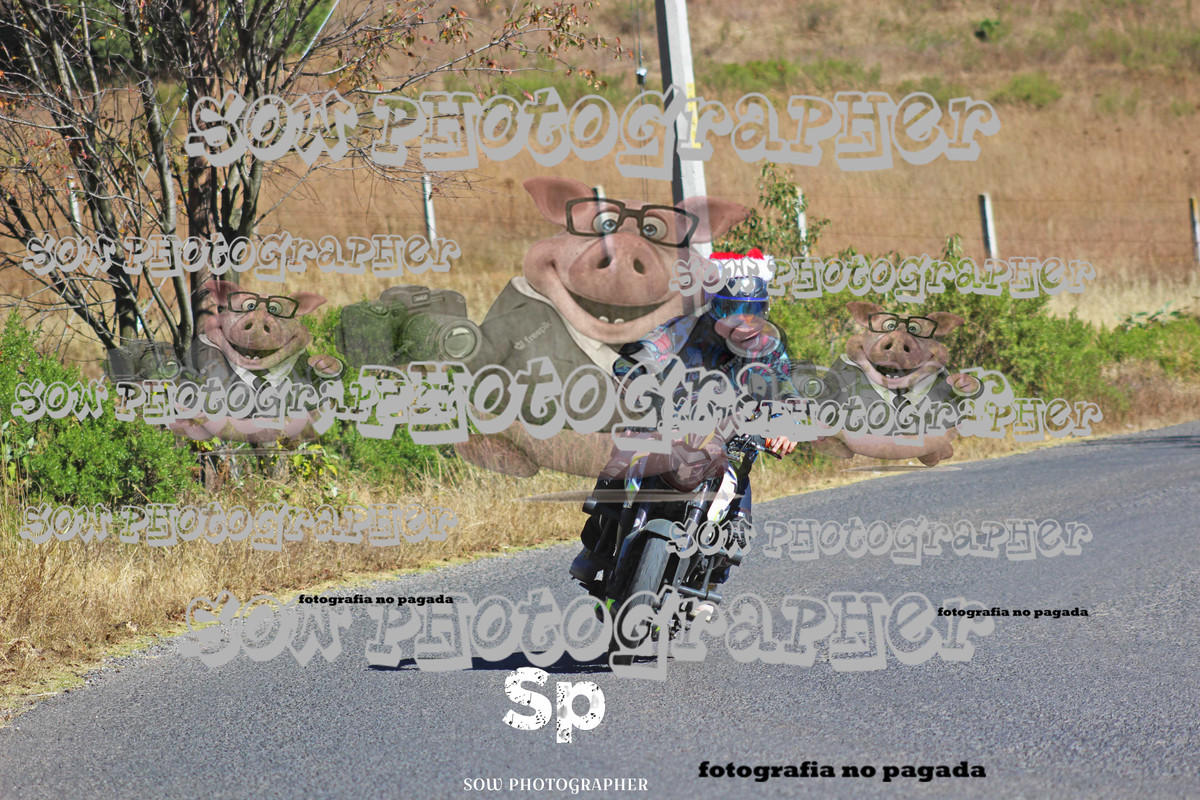 IMG_2392