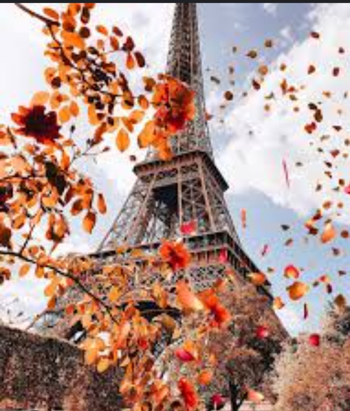 Screenshot_20221127-181812_Chrome