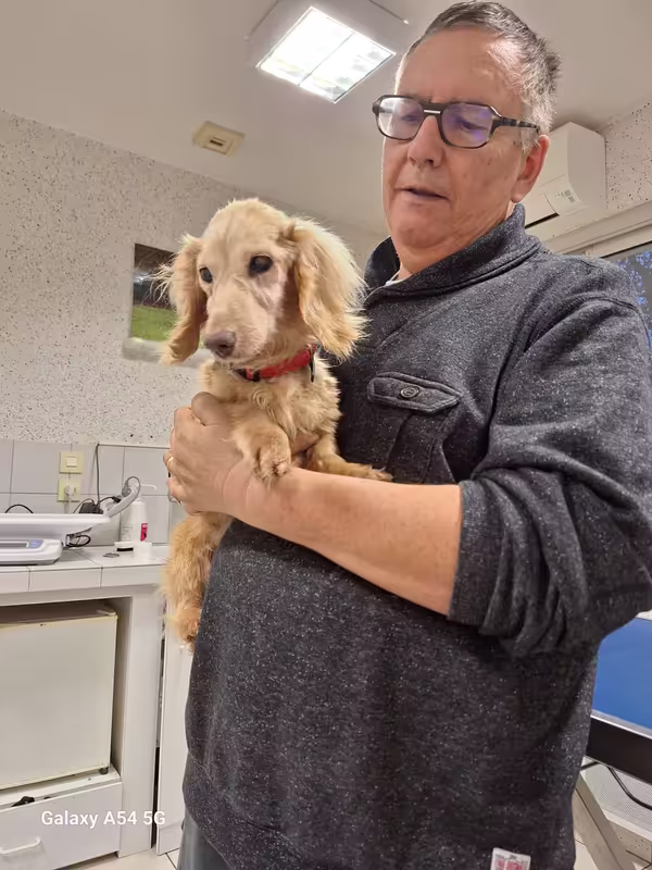 [Image: 20241031-174647.avif]