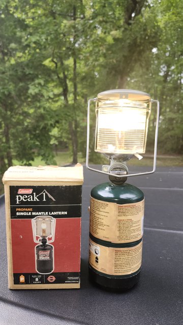 ライト・ランタン Coleman One Mantle Lantern Coleman] Lantern Gasoline Lantern One Mantle Lantern 2169494NEW | eBay