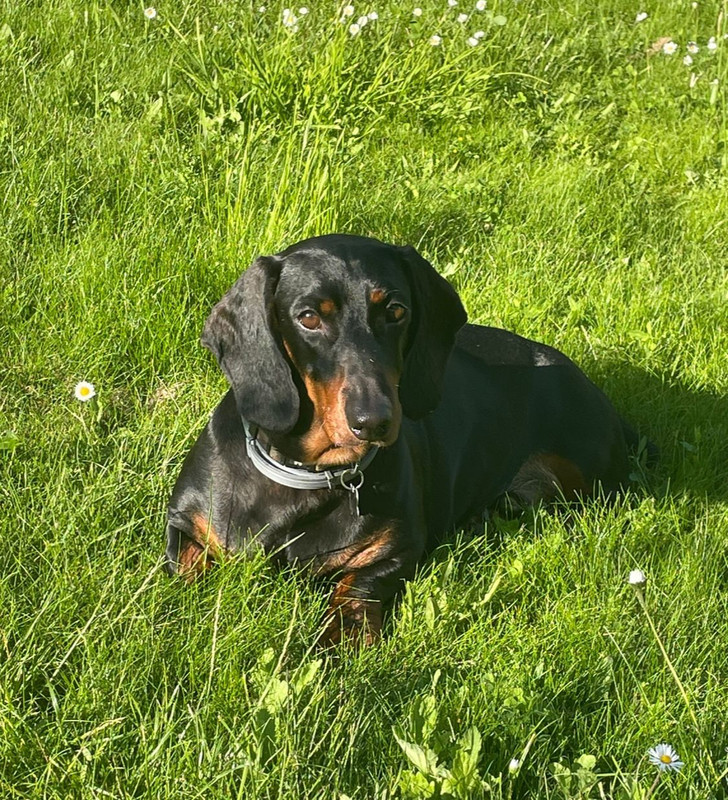 [Image: IMG-20240805-WA0027.jpg]