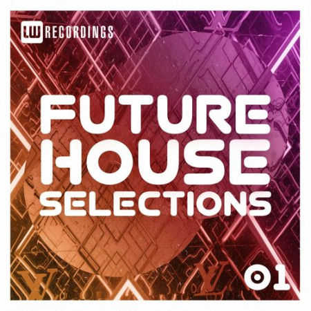 3fe1f220 ab75 4320 9dbe 856ef2861999 - VA - Future House Selections Vol.01 (2022)