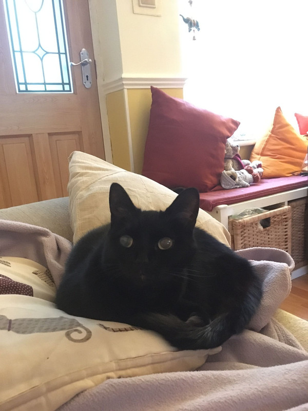 7A94B4BD-1EB7-4CC7-8394-12A8440607B0