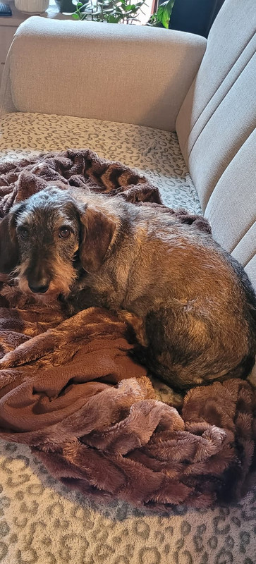 [Image: 445782875-470554945450454-1118864184320220090-n.jpg]