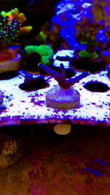 2610A189-5AE9-4616-82CF-547366AE0972