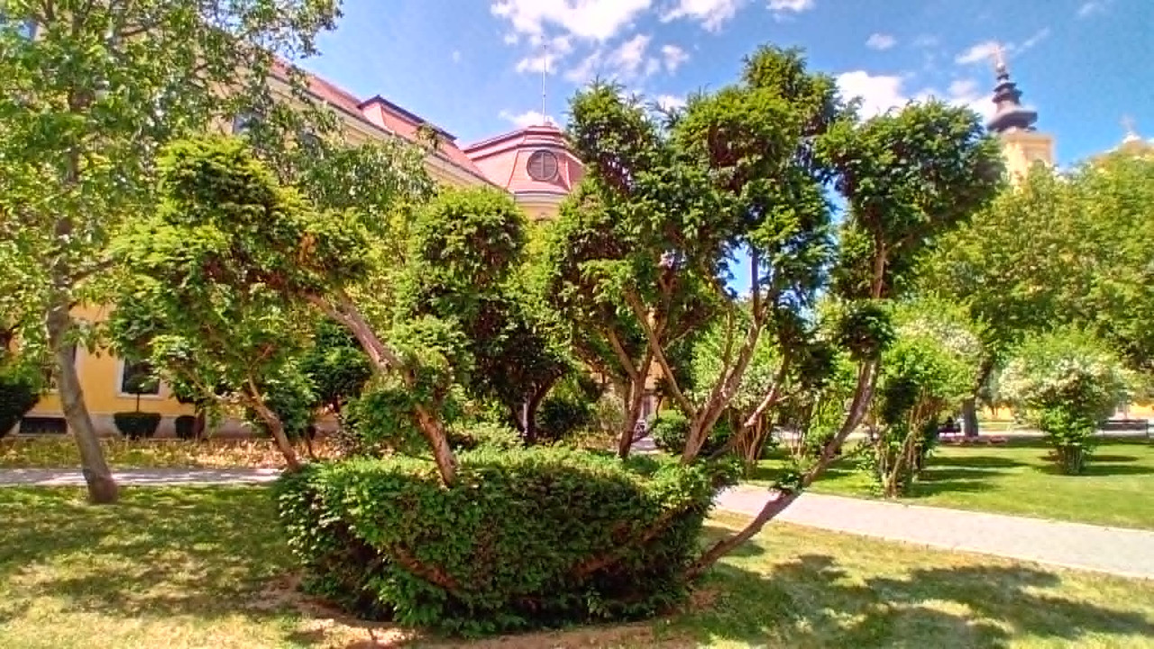 https://i.postimg.cc/brMKKbtB/59c82570-1f1a-4161-8897-8798f0fe42fa.jpg