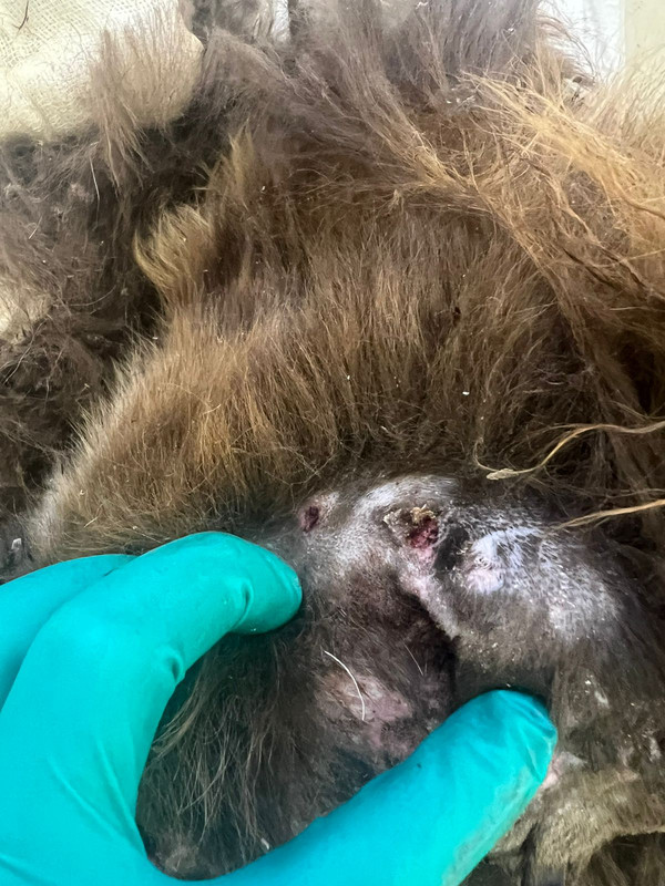 WhatsApp Image 2024-03-30 at 17.08.32 (1)