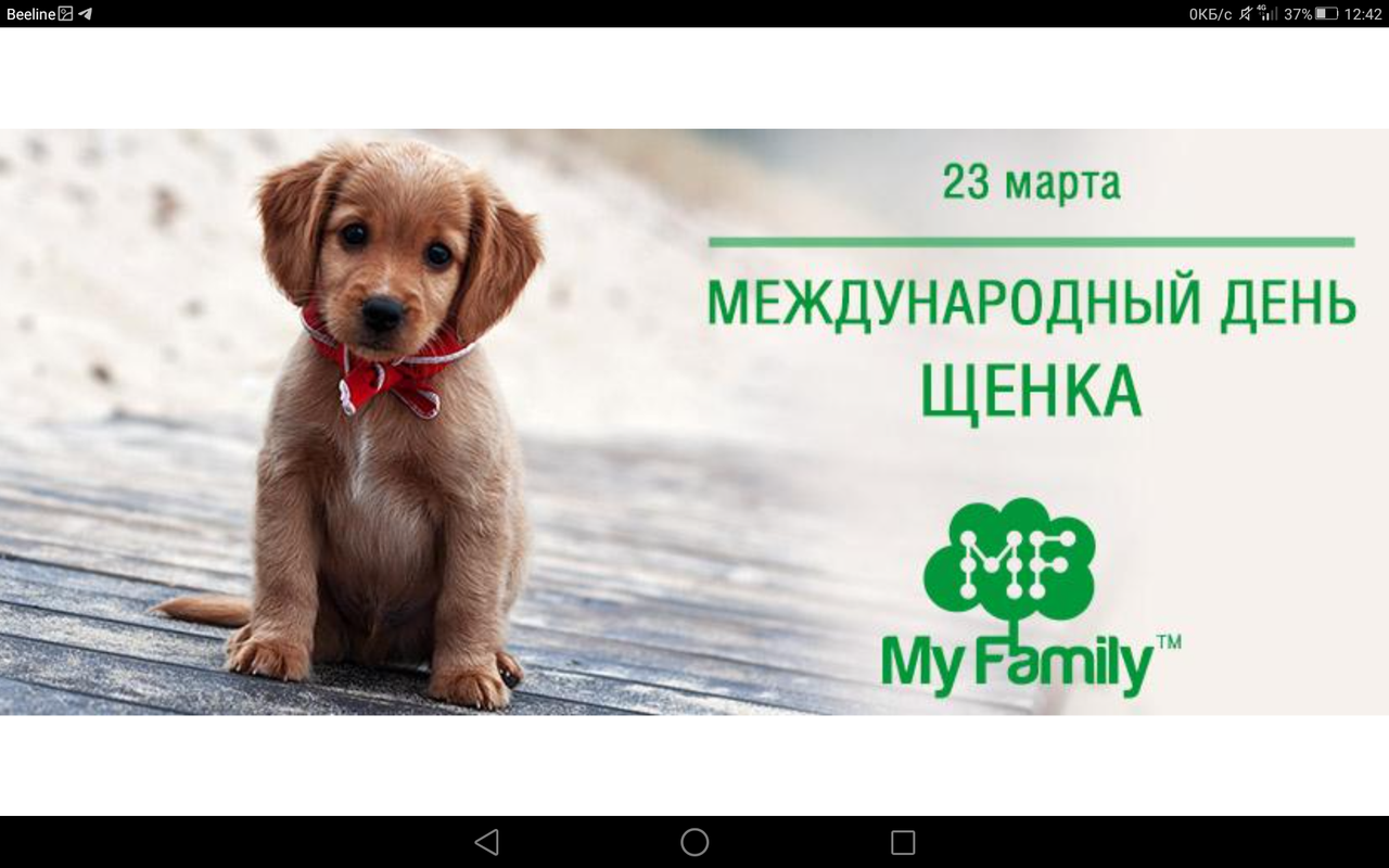 Screenshot_2023-03-23-12-42-38