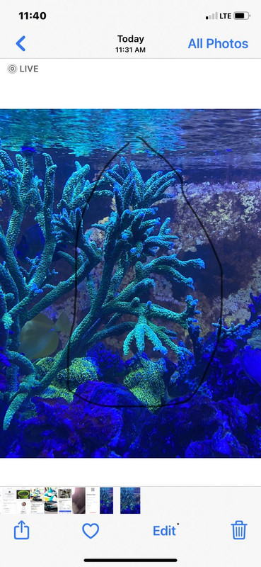 53634F06-5069-4609-8B69-C690E203D8C4