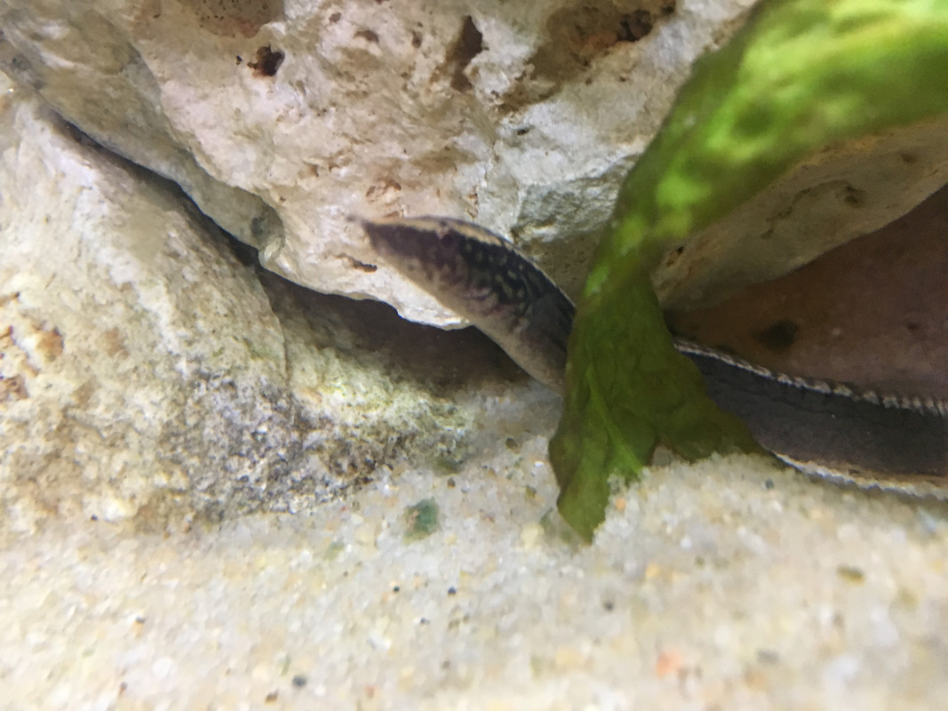 BEB62827-DF63-41FE-B0C5-778378FC65D0