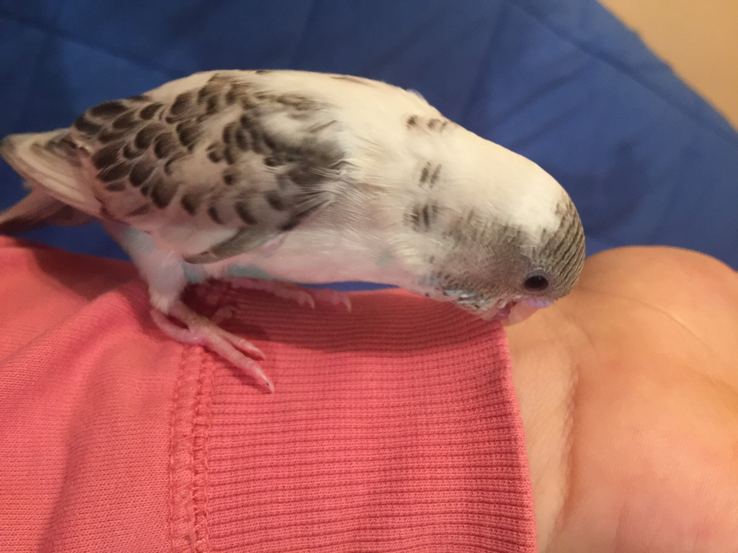 1963E4B6-F3A8-43C0-BF8C-00DD8F2003F4