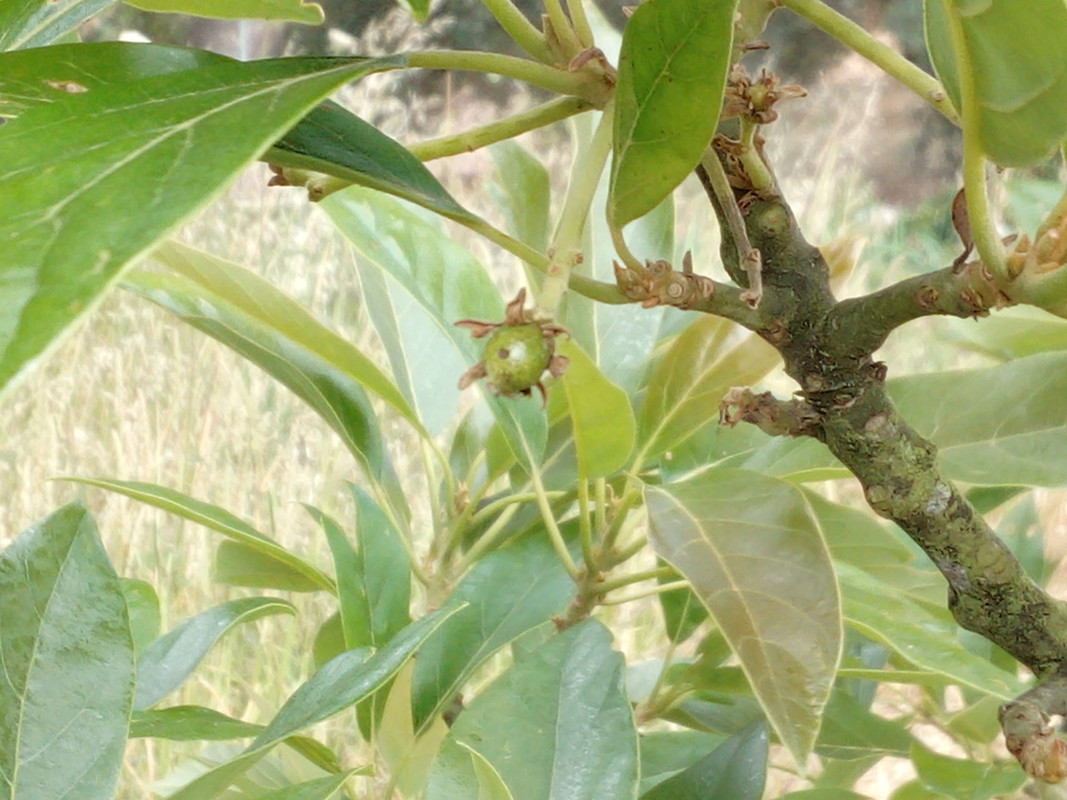 DSC_0307_resized_20190614_101715030